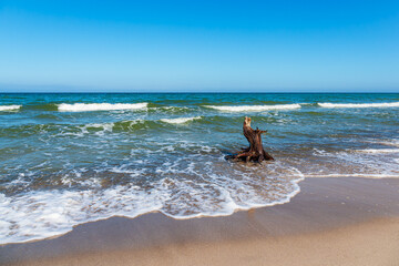 Baumstamm und Wellen am Weststrand auf dem Fischland-Dar&szlig;