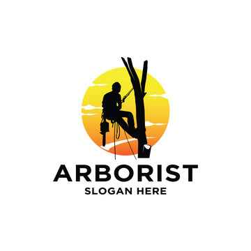 arborist tree logo service