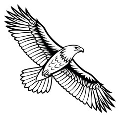 The white shouldered eagle in the sky 