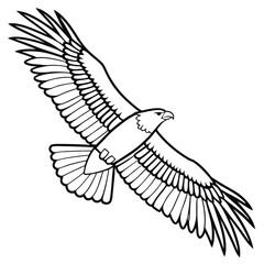 The white shouldered eagle in the sky 