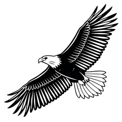 The white shouldered eagle in the sky 