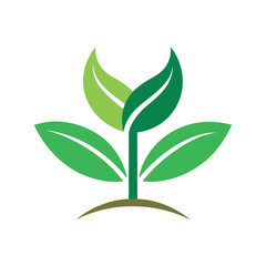 Green leaf seedling logo icon design 
