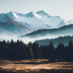 Distant mountains allure