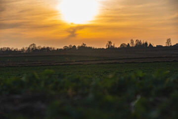Sunset over nearly empty fields at the beginning of spring