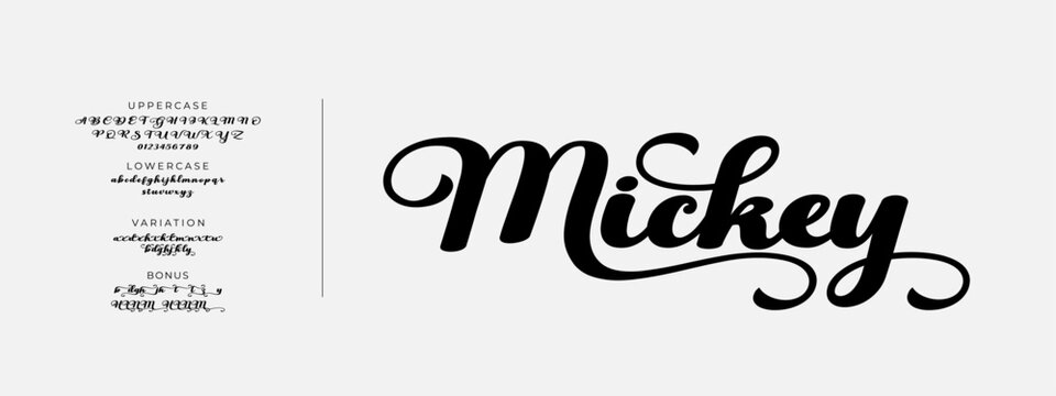 Elegant Font Uppercase Lowercase And Number. Classic Lettering Minimal Fashion Designs. Typography modern serif fonts regular decorative vintage concept. vector illustration
