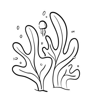 Algues marines sous l'oc&eacute;an illustration vectorielle noir et blanc