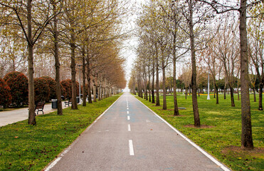 road in the park