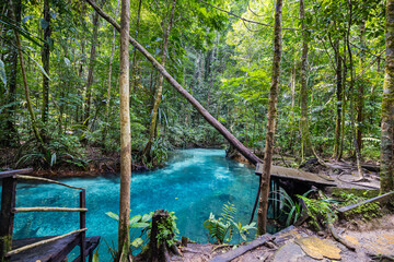 Crystal-clear spring pool hidden deep in the rainforest of Salat Rabia, Triton Bay, West Papua, Indonesia. Cool transparent waters surrounded by untouched jungle vegetation.