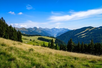 Obraz premium Alpine meadow Hills with forests, mountains under blue sky, summer day