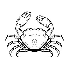  crab meat labels, emblems and design elements. Crab icons. Crab logo template. Crabs silhouettes. Vector design elements.