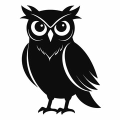 owl on white background