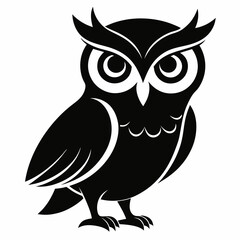 owl on white background