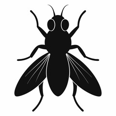 vector illustration of a bug