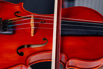 close up of music instrument strings