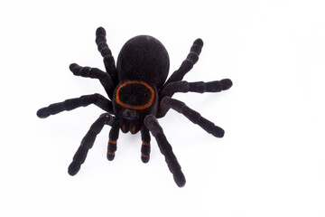 very large toy spider