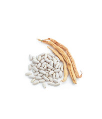 Dried beans and pods isolated on a white background