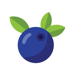 Vibrant blueberry illustration against a white background.