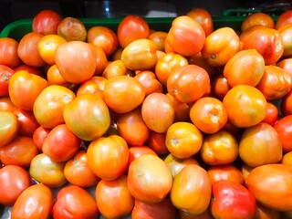 A pile of orange-colored tomatoes or Solanum lycopersicum on display. Tomatoes are a fruit and a plant of the eggplant family native to Central and South America.