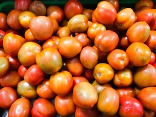 A pile of orange-colored tomatoes or Solanum lycopersicum on display. Tomatoes are a fruit and a plant of the eggplant family native to Central and South America.