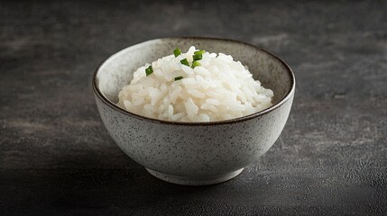 A Single Grain of White Rice in Focus