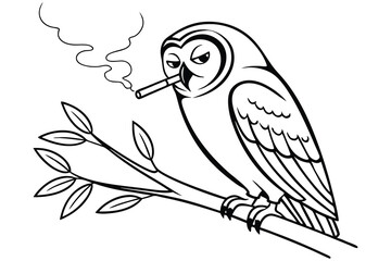 A black and white parrot and owl, vector illustrations of tropical birds perched on a branch