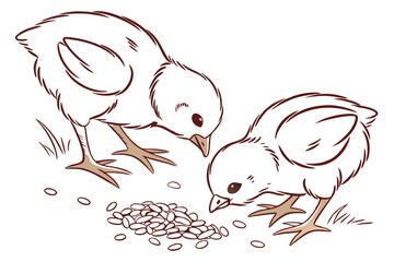 Cartoon chicken vector illustration a fun bird design