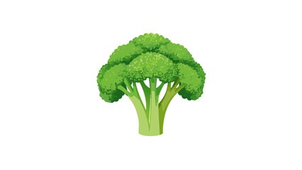 broccoli on a white background