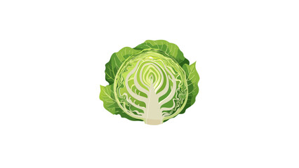 cabbage
