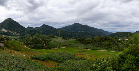 landscape with mountains and rice field in vietnam, sapa
