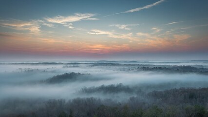 Obraz premium Morning view landscape. Fog covers forest valley during sunrise. Orange glow sky above trees.