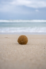 Ein Meerball am Traumstrand