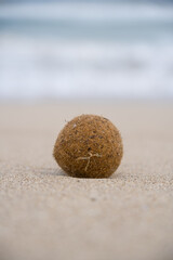 Ein Meerball am Traumstrand