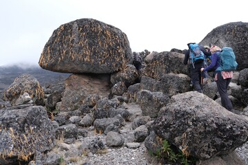 Kilimanjaro, Tanzania: 20 February 2025: Group of people in volcanic scenery trail on Kilimanjaro, Machame Route, trail from Shira Camp to Barranco Camp. Tanzania © Iwona