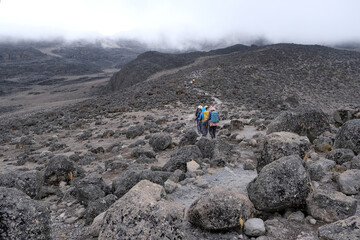 Kilimanjaro, Tanzania: 20 February 2025: Group of people in volcanic scenery trail on Kilimanjaro, Machame Route, trail from Shira Camp to Barranco Camp. Tanzania © Iwona