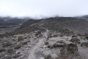 Kilimanjaro, Tanzania: 20 February 2025: Group of people in volcanic scenery trail on Kilimanjaro, Machame Route, trail from Shira Camp to Barranco Camp. Tanzania © Iwona