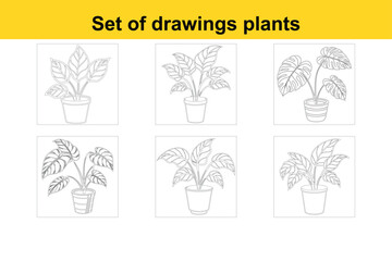 Collection of Houseplants. Vector Set of Outline Drawings of Potted Plants and Succulents. Indoor Exotic Foliage with Stems and Leaves, Including Monstera, Ficus, Pothos, Yucca, Dracaena, Cacti, and S