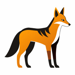 Jackal vector illustration 