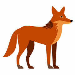Obraz premium Coyote vector illustration 