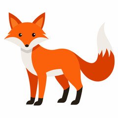Obraz premium Fox vector illustration 