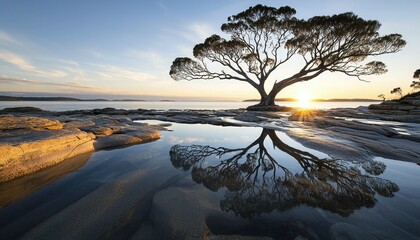 A serene landscape featuring a solitary tree at sunset, reflecting beautifully in a calm body of water surrounded by rocky terrain.