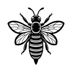 bee on white background