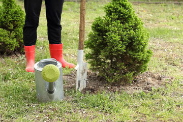 watering can shovel fir tree and gardener. hobby and rest in the garden
