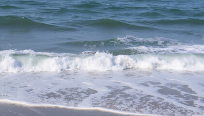 Fototapeta premium Starfish on Sandy Beach with Gentle Waves 