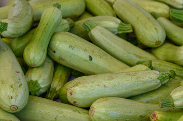 Cascading harvest of fresh green zucchini in a vibrant market stall brimming with summer produce