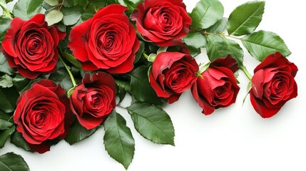 Obraz premium Three Fresh Red Roses with Green Leaves Isolated on White Background, Top View.