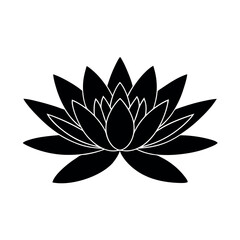 lotus flower vector illustration