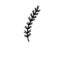 Rosemary branch icon
