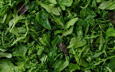 Obraz premium Fresh Green Leafy Vegetables Mix Close Up