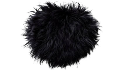 Frizzy black animal fur , clipping path  -  