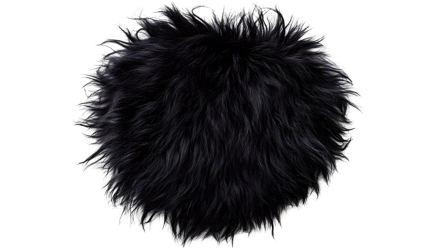 Frizzy black animal fur , clipping path  -  